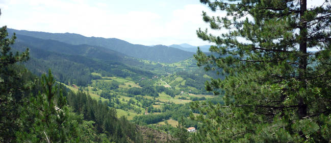Destinos, actividades recomendables de ocio y excursiones de un día en Serbia