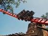 montañas rusas: Busch Gardens Tampa