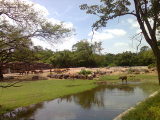 Nehru Zoological Park © PP Yoonus